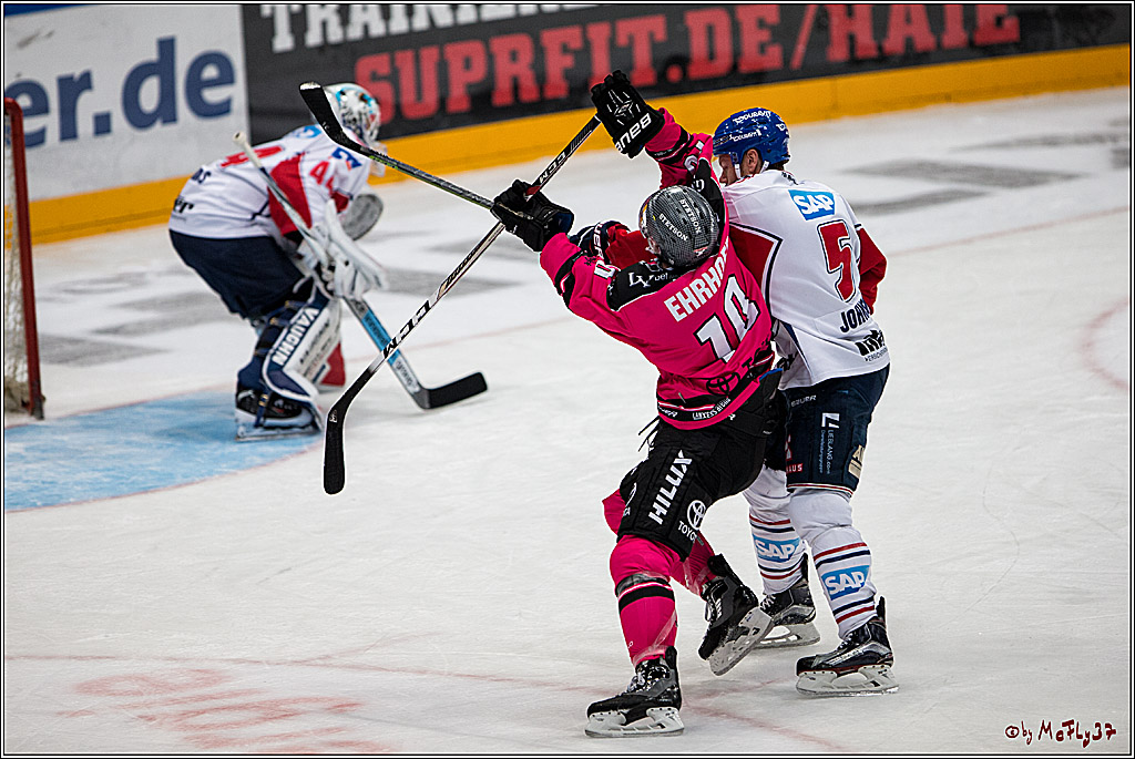 Koelner Haie - Adler Mannheim, 30.10.2016